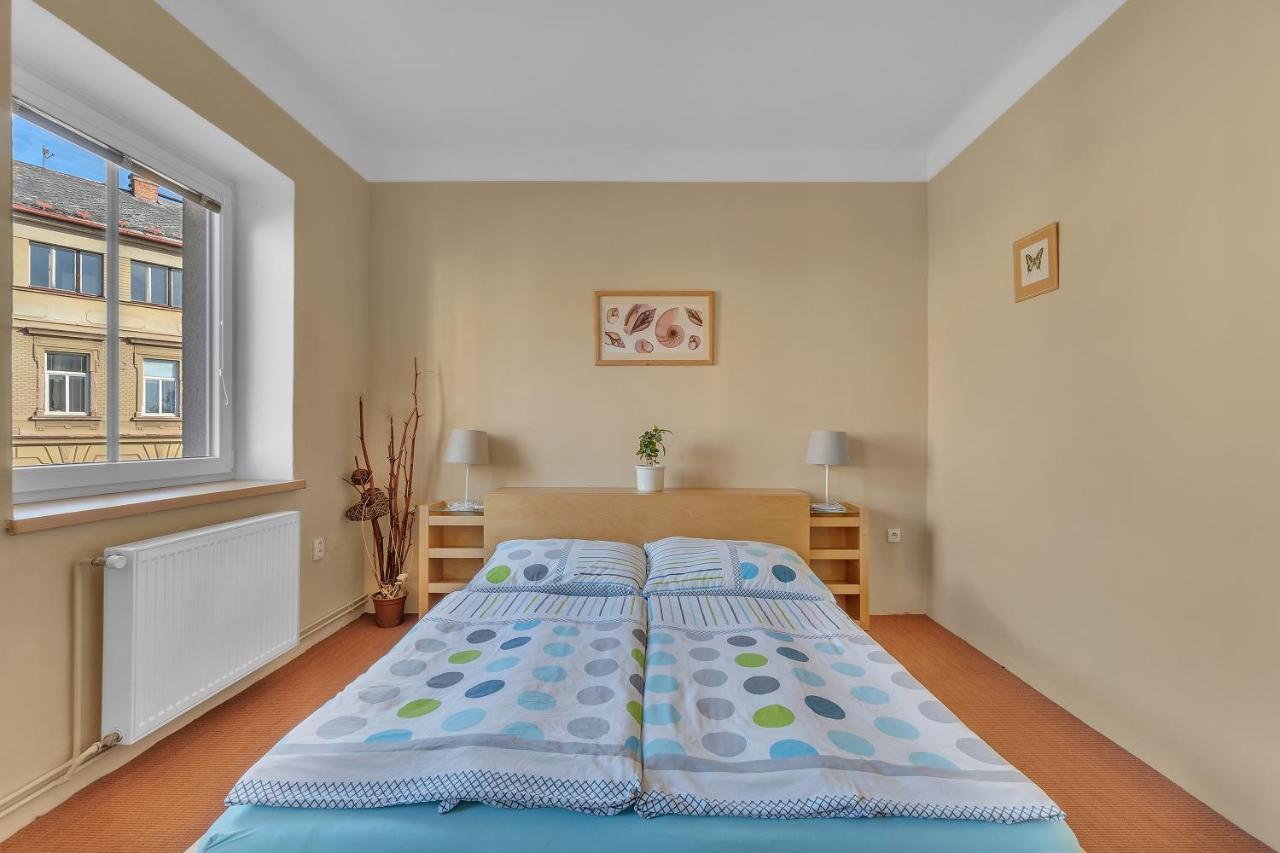 Apartmán U Javorky Lázně Bělohrad Esterno foto